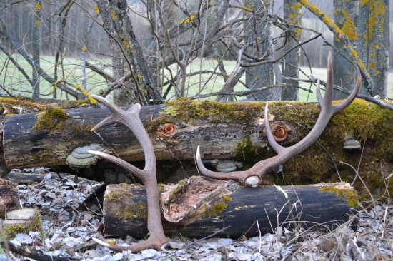 Nedeľný nález potešil