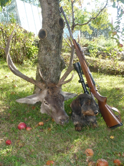 ...moj Chip s ulovkom