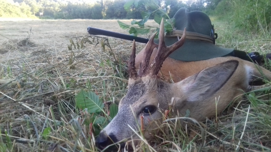 ranajšie prekvapenie