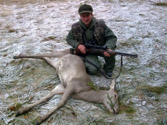 kamaratova prva jelenička