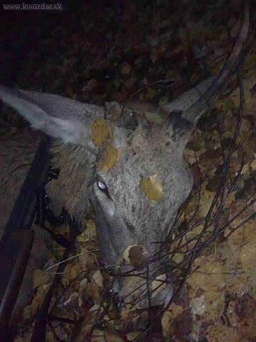 kamaratov prvy...detail