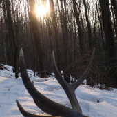 kamaratov....je to par k ID55533