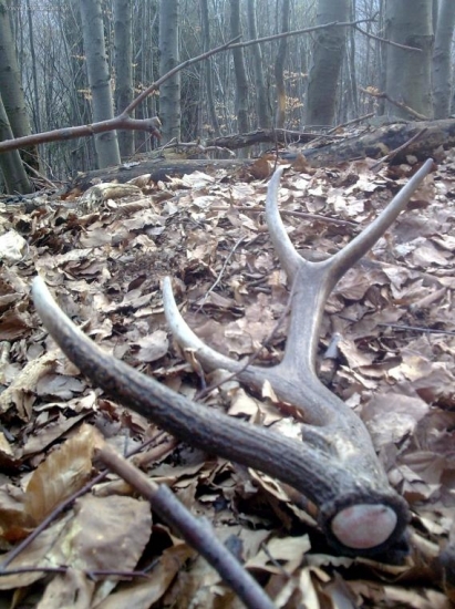 aj taketo potešia...