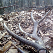 aj taketo potešia...