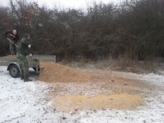 este na vianoce ,trosku silaze na veceru