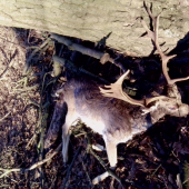 takto na mňa čakal