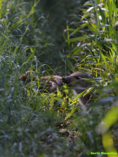 Konečne som ich našiel