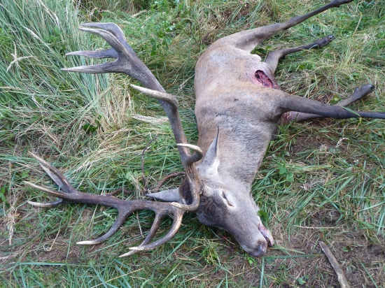 ...po prehratom súboji...