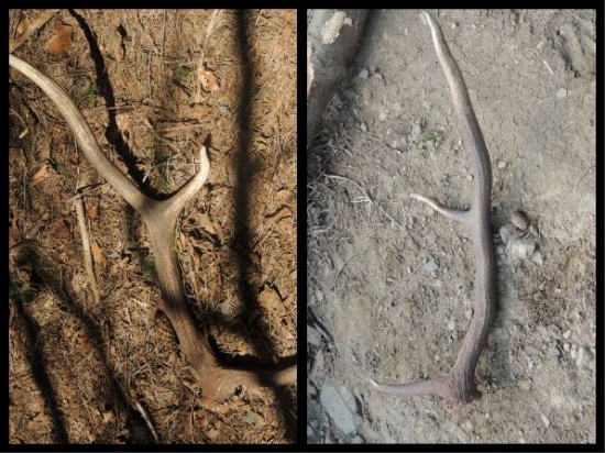 Moja prvá pára v živote bola úspešne dohľadaná