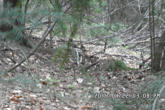 Prvy pohľad.... desatorak