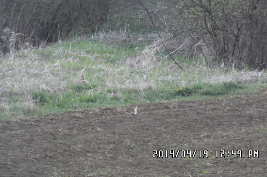 ešte že som sa otočil