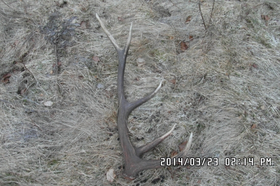 môj prvý tohto roku