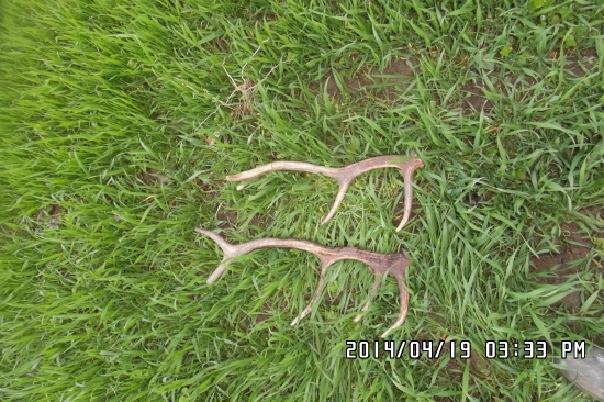 to je polovica z jedného dňa