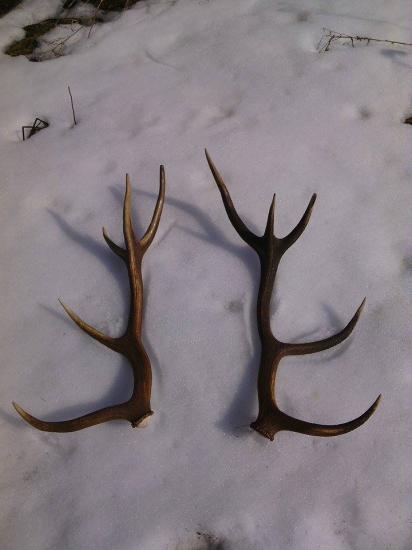 Včerajšie desiatky