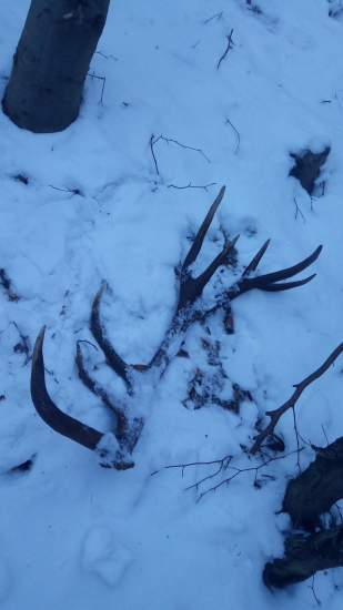 Dnešná životná šestnastka :) tento neopísateľny pocit prajem každému