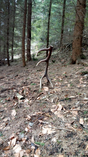 Čo viac si môžeš priať