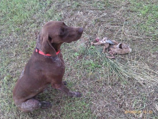 Krutá a zbytočná daň