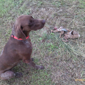 Krutá a zbytočná daň