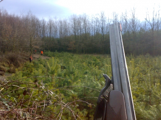 pred vstupom do seče