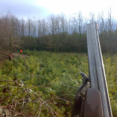 pred vstupom do seče