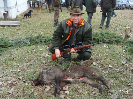 Diviačik z hosťovskej poľovačky