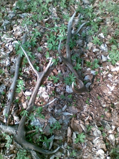 podarilo sa..:D..tak som ich nasiel