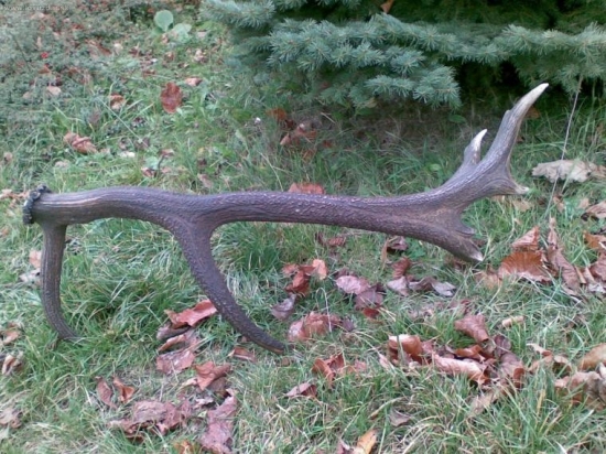 skoda ze nemam aj druhy....