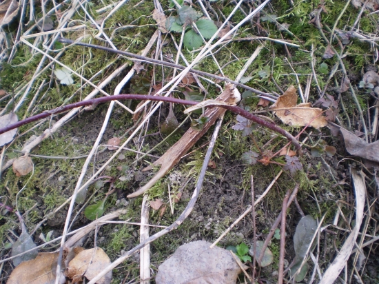 aspoň trošku štastia