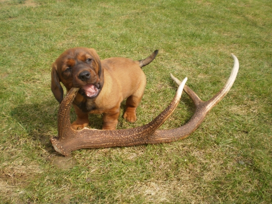 keď som bola ešte mala, Dina z Nízkych Beskýd