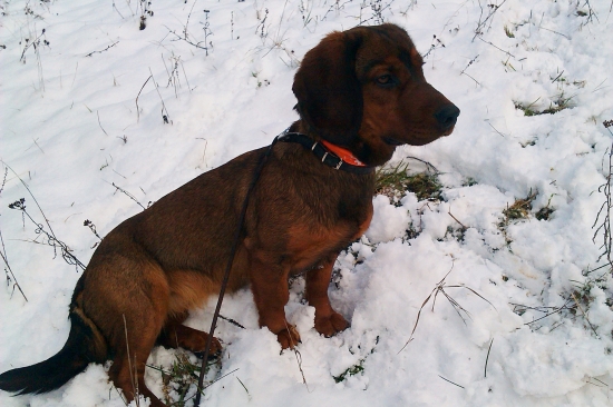 Dina z Nízkych Beskýd 6