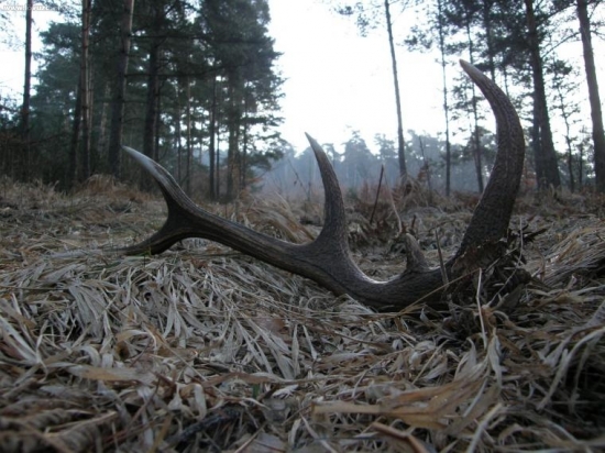 konečne prvý čerstvý