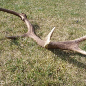 7063