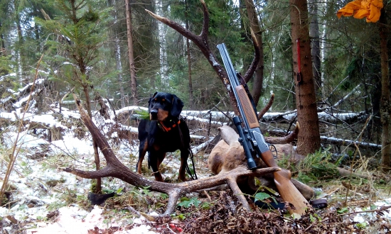 Úspešná Dohľadávka