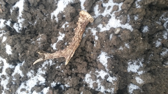 povianočný pekne perlovaný darček