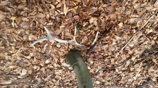 škoda že na mňa čakal 3 roky