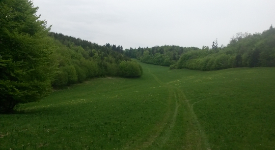 pasienky