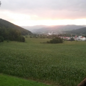 z posedu