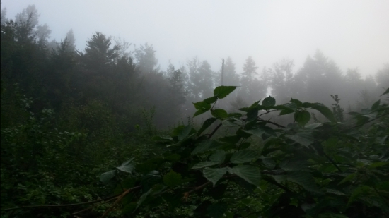 September