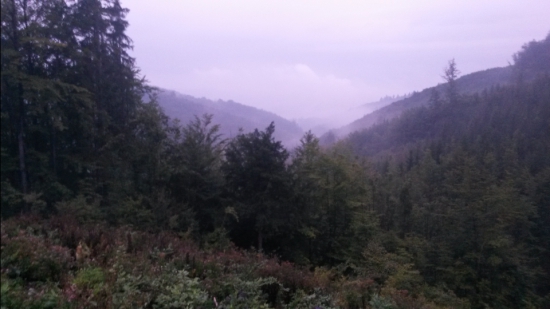 Z rúbane
