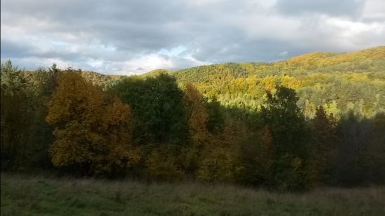 Jeseň