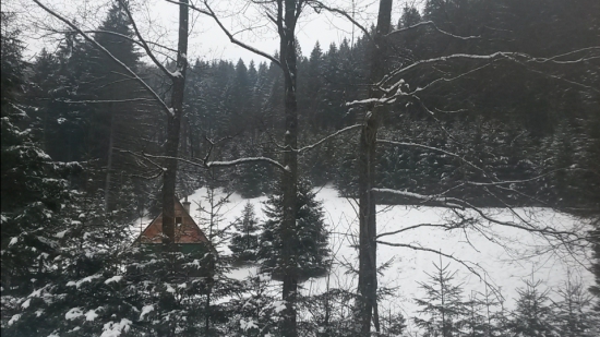 Driekiňa