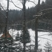Driekiňa