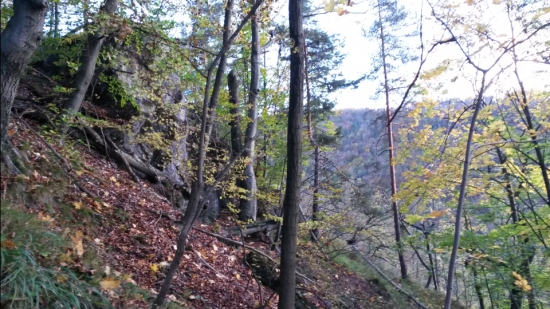Jeseň