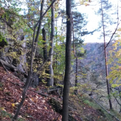 Jeseň