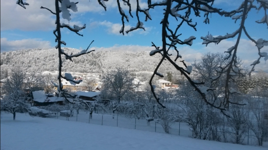zimná krajinka