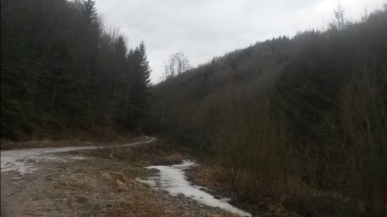 Dolina