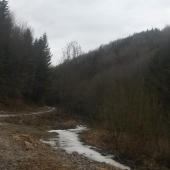 Dolina