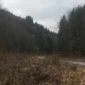 Dolina 2