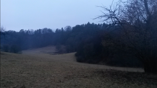 v doline