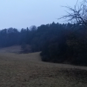 v doline